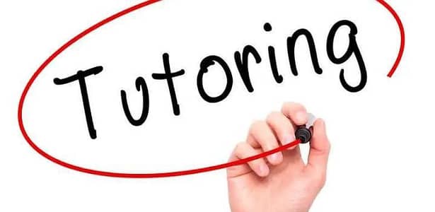 Online Tutor
