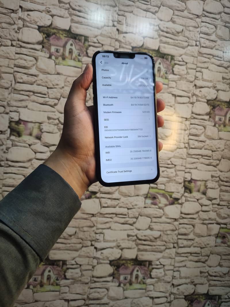 iPhone 13 Pro Max 2