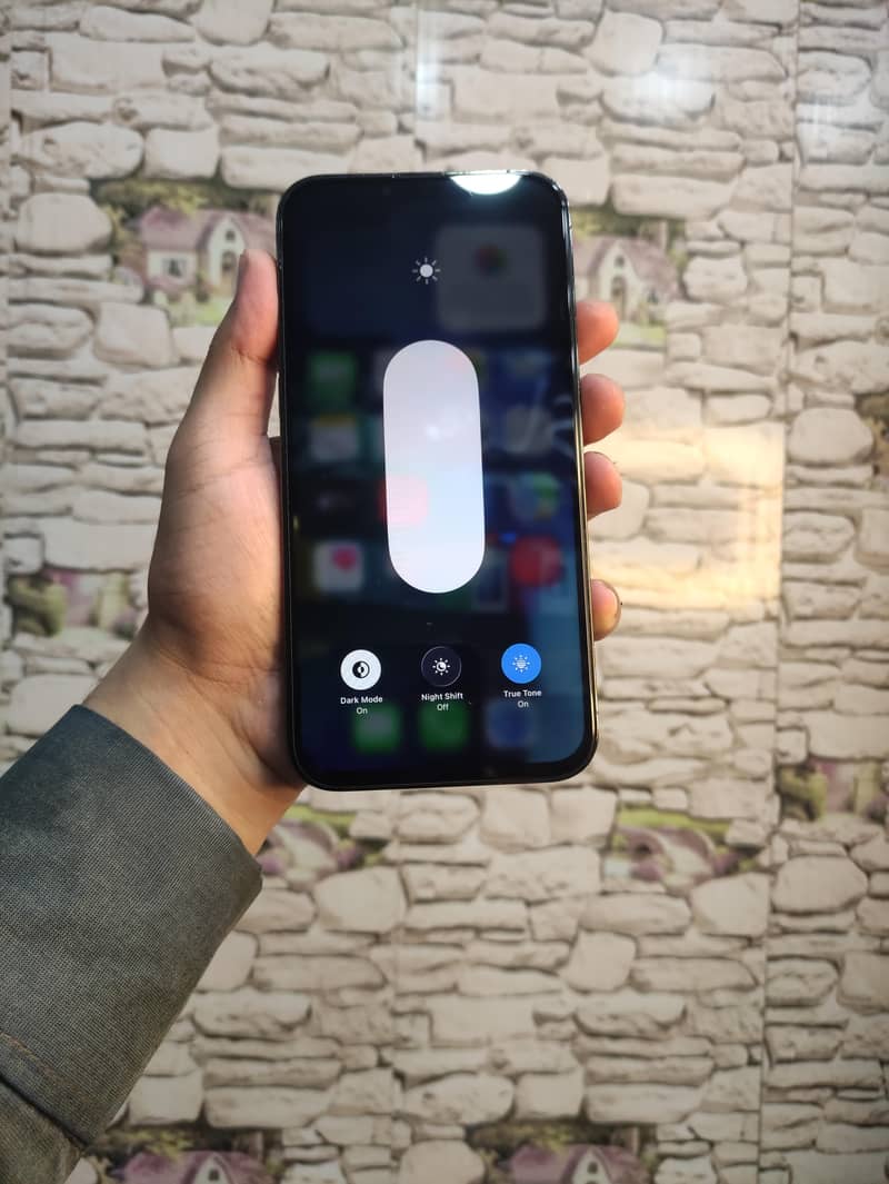 iPhone 13 Pro Max 3