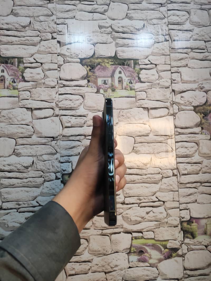iPhone 13 Pro Max 5