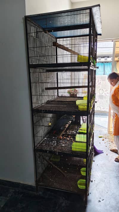 Cages