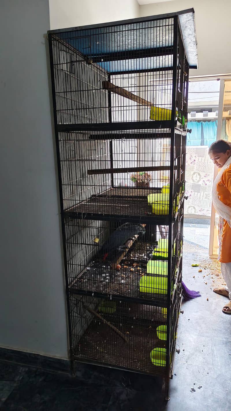 Cages 0