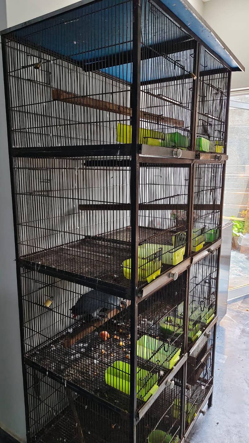 Cages 1