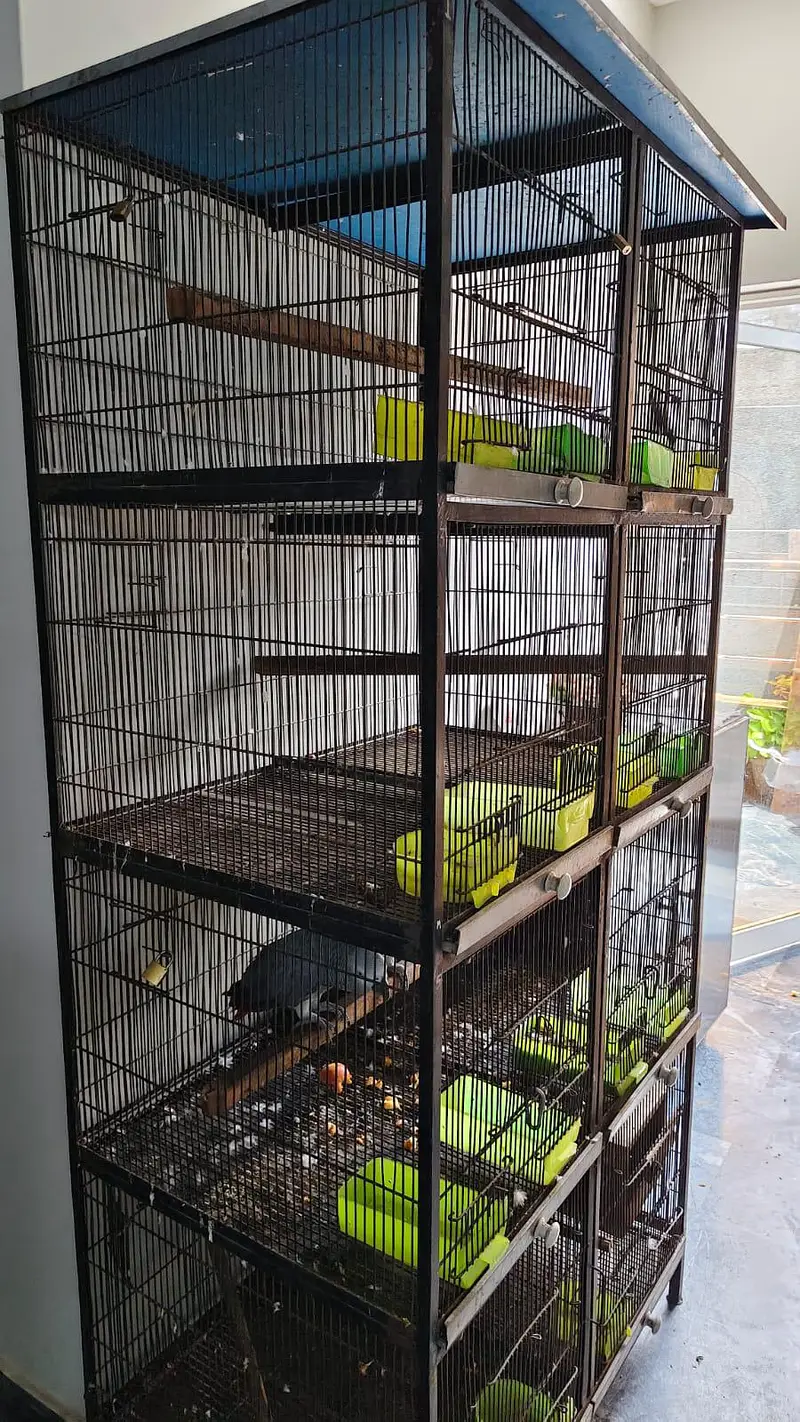 Cages — photo 2