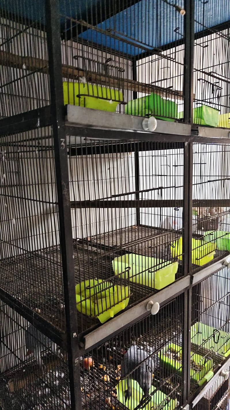 Cages 2