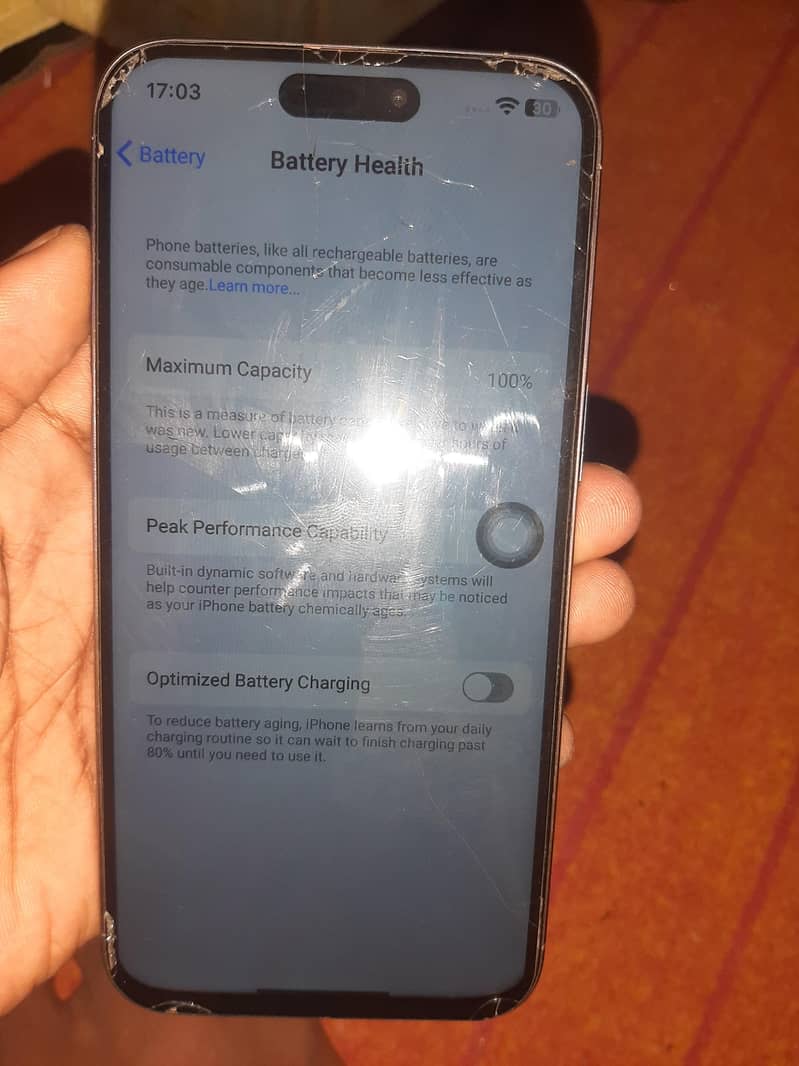 iPhone 15 Pro Max 13