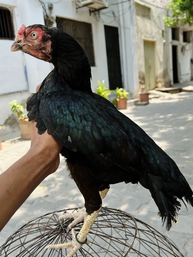 bhot achi madia hai ye 1 ki demand hai — photo 3