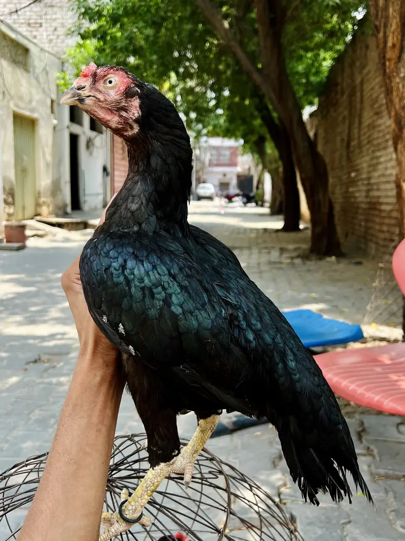 bhot achi madia hai ye 1 ki demand hai — photo 4