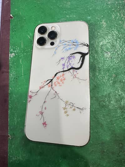 Apple iPhone 12 Pro Max