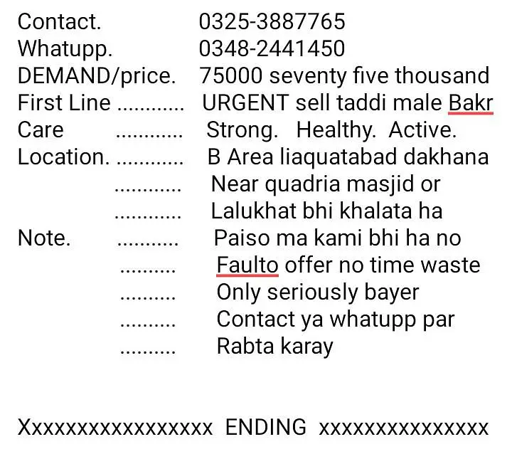 urgent sell taddi male Bakra for sale
