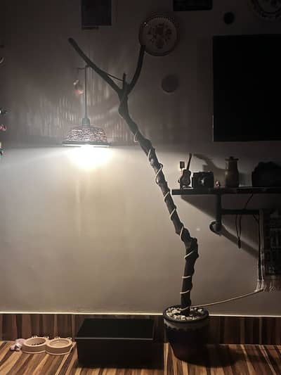 Wooden floor lamp