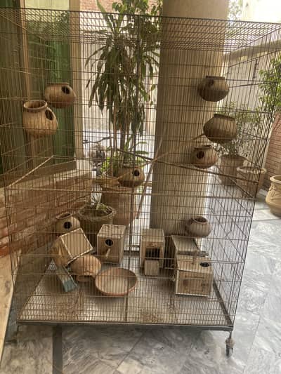 Colony Iron Cage For Sale