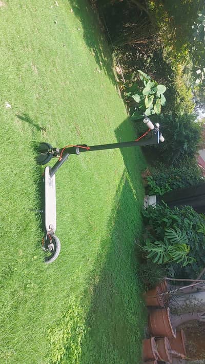 electric scooter 