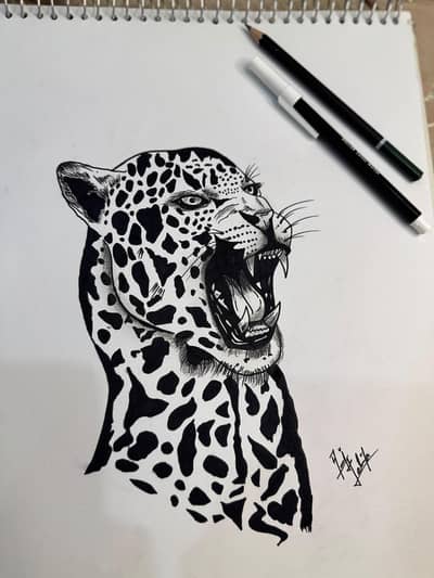 Handmade roaring leopard sketch | hand- Drawn artwork