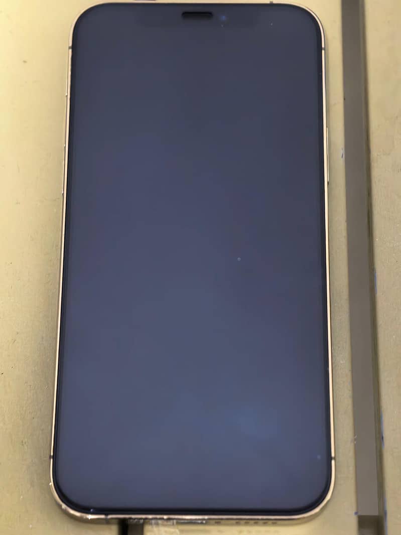 Apple iPhone 12 Pro 1