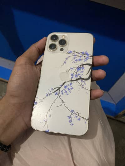 Apple iPhone 12 Pro Max