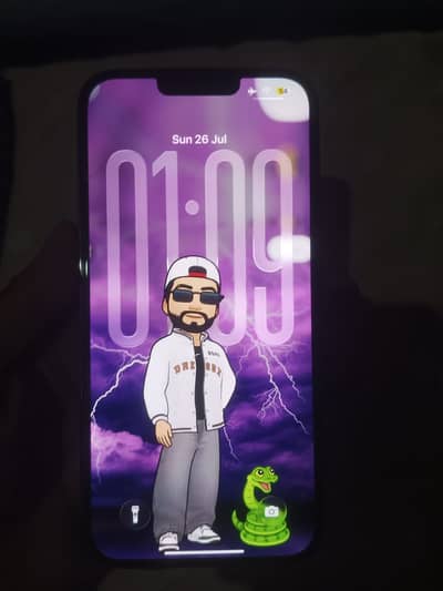 Apple iPhone 13 Pro Max