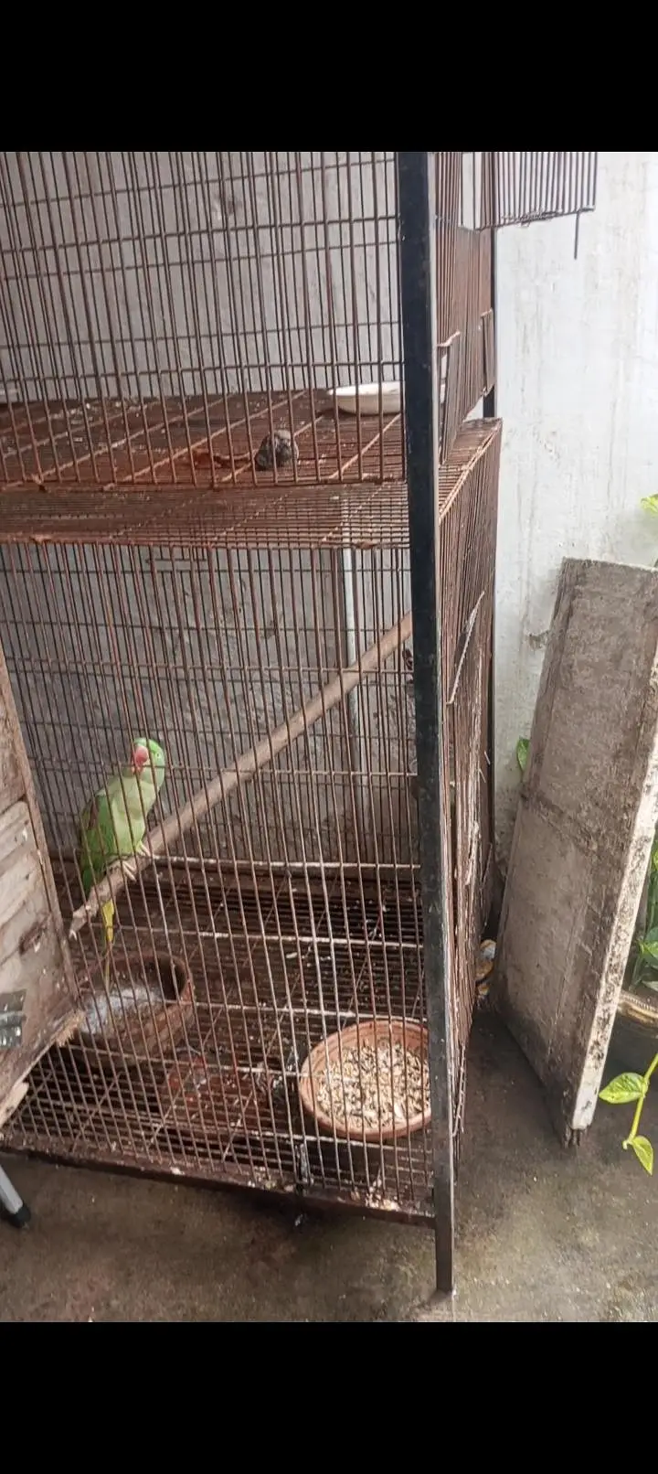 3 by 4.5 ka kage h 2 poshan h. — photo 11