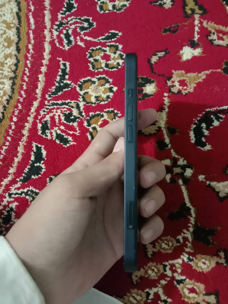 Apple iPhone 13 0