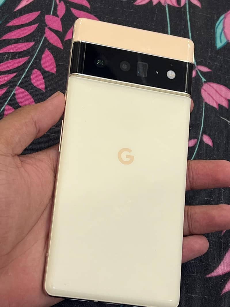 Google Pixel 6 Pro 1