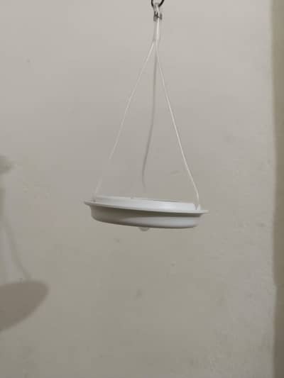solar lights