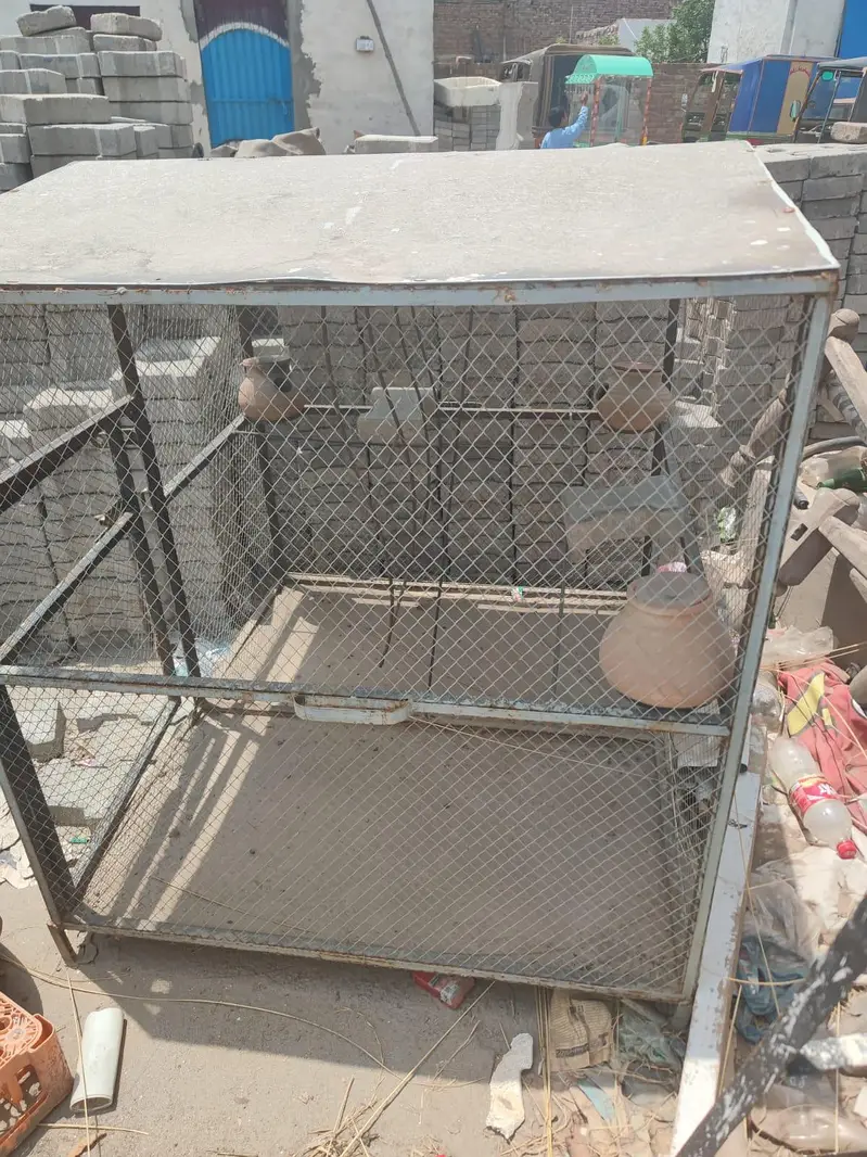 A large size cage for hens parrots birds — photo 2