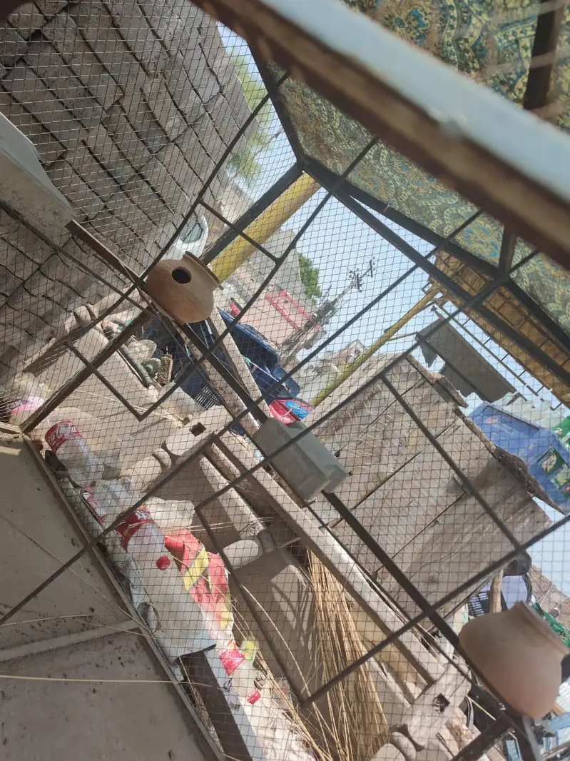 A large size cage for hens parrots birds — photo 3