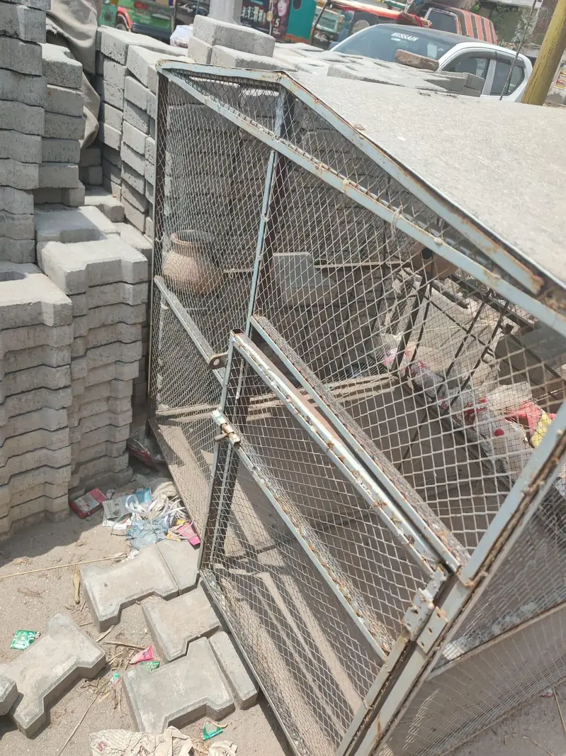 A large size cage for hens parrots birds — photo 4