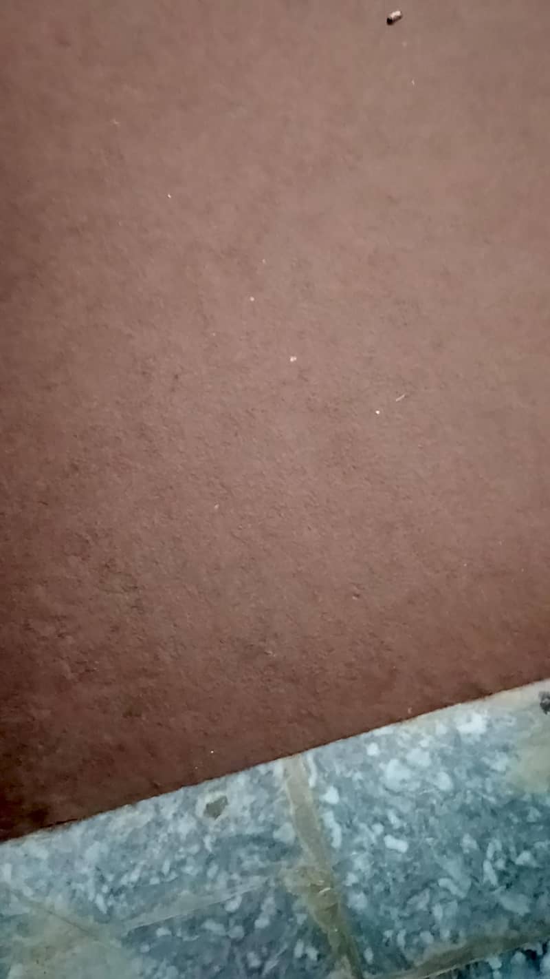 55555 0