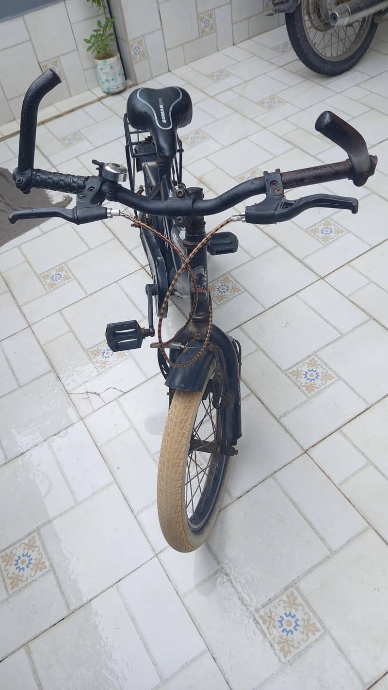 16" Bicycle 1