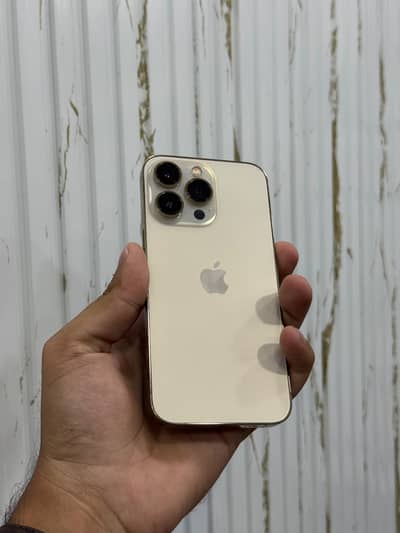 iPhone 13 Pro                                        11 12 14 15 16 17