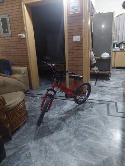 SPEED BICYCLE