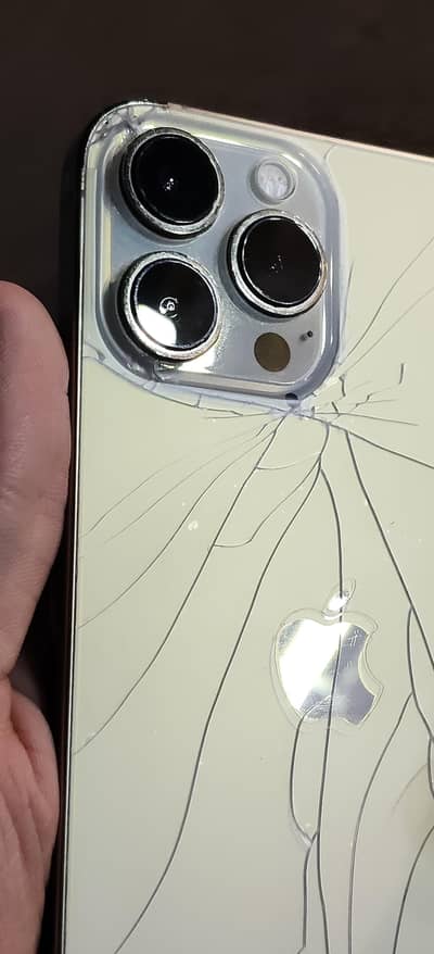 Apple iPhone 13 Pro Max jv