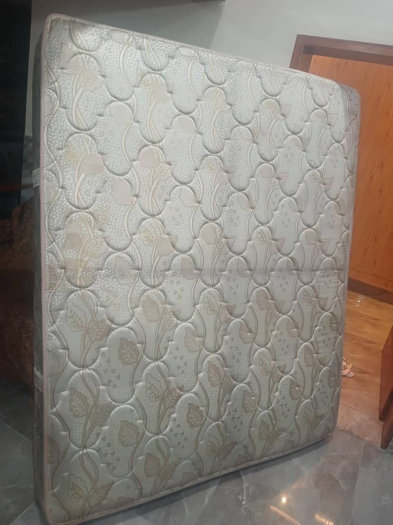 Master moltyfoam spring 1