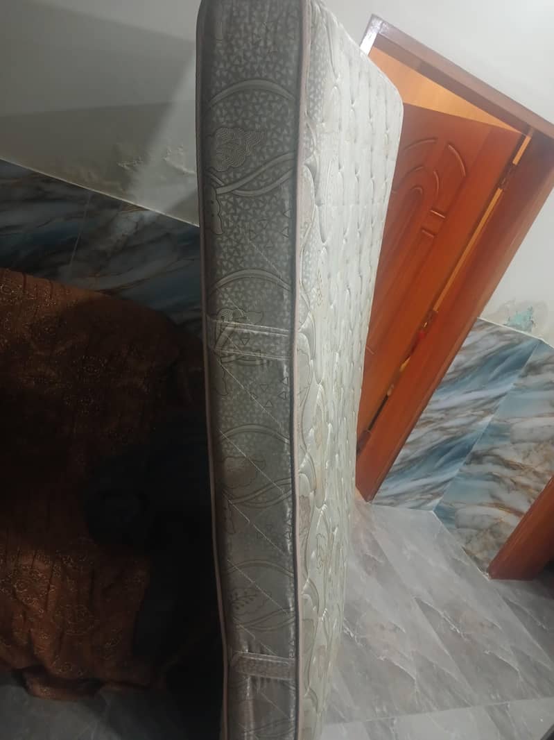 Master moltyfoam spring 2
