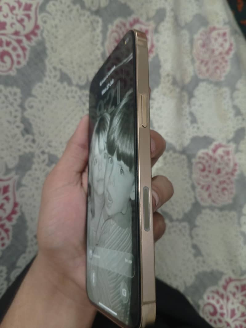 12 pro max 5