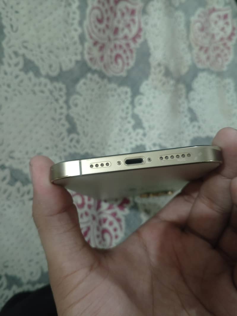 12 pro max 6