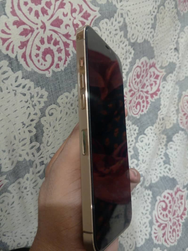 12 pro max 9
