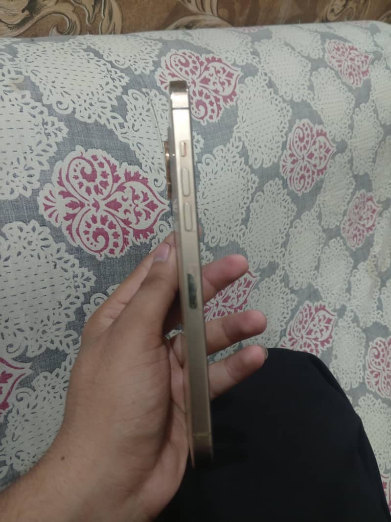 12 pro max 11