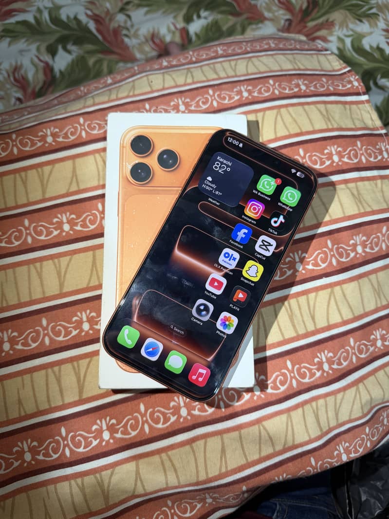 iPhone 17 Pro Max Box Cable 1