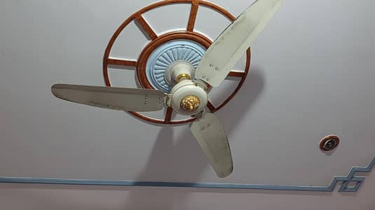 Ceiling Fan for Sale