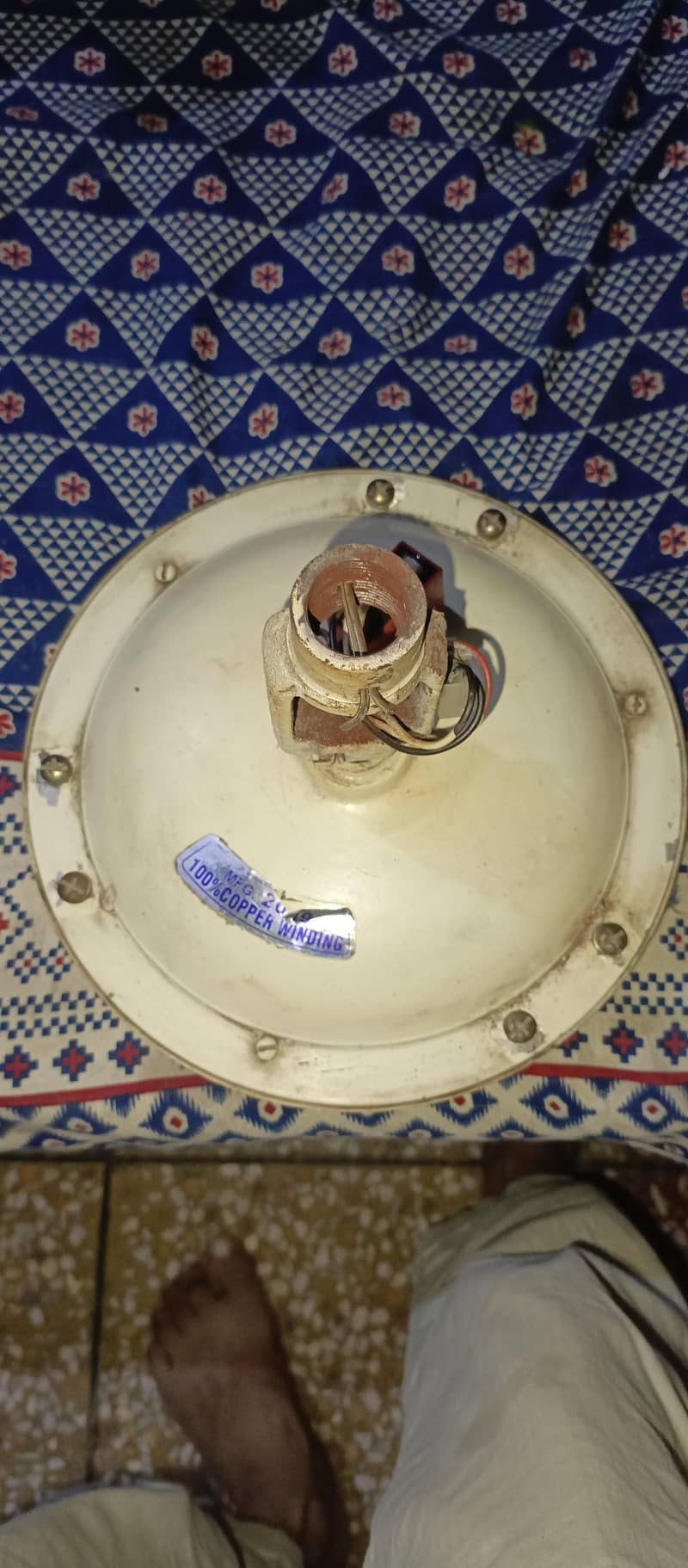ceiling fan 3