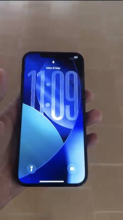 Apple iPhone 12 Pro Max