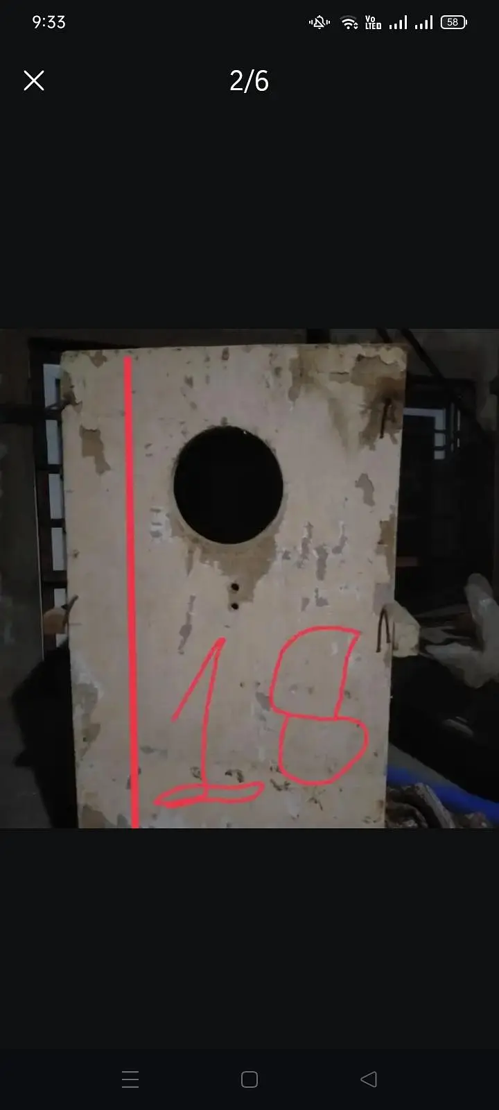 big parrot breeding box — photo 3