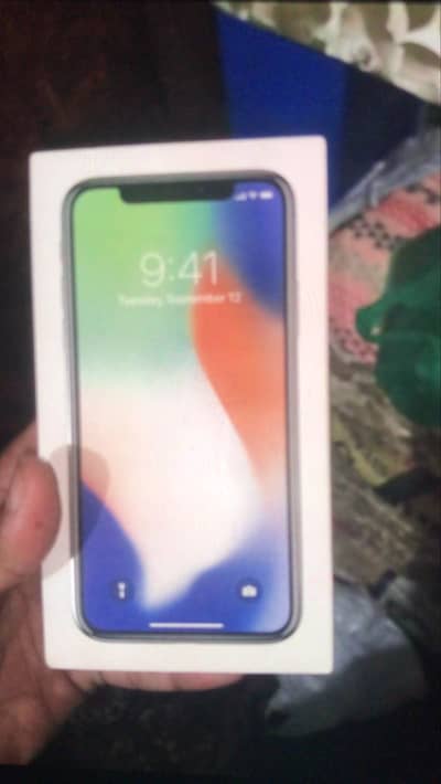 Apple iPhone X