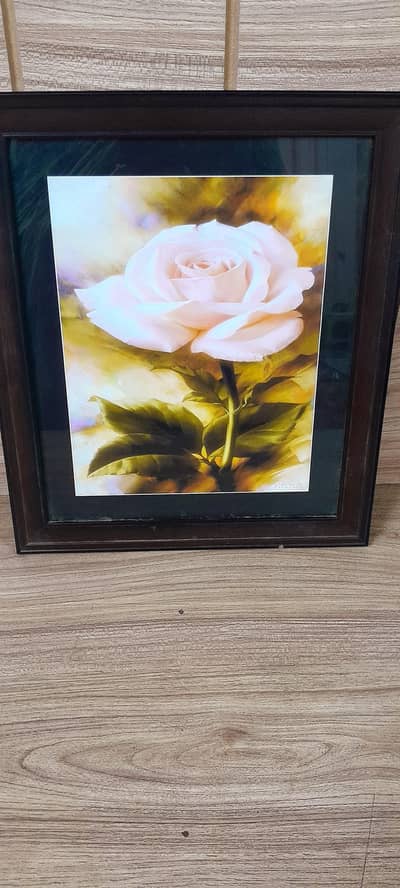 frame for the sale