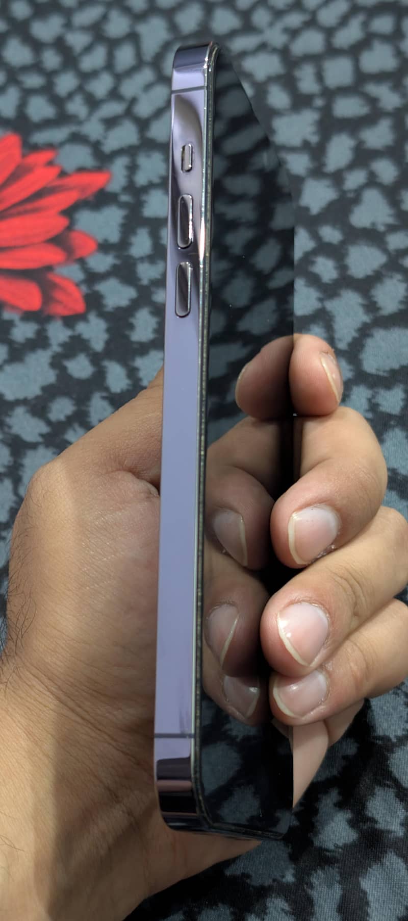 Apple iPhone 14 Pro Max 3