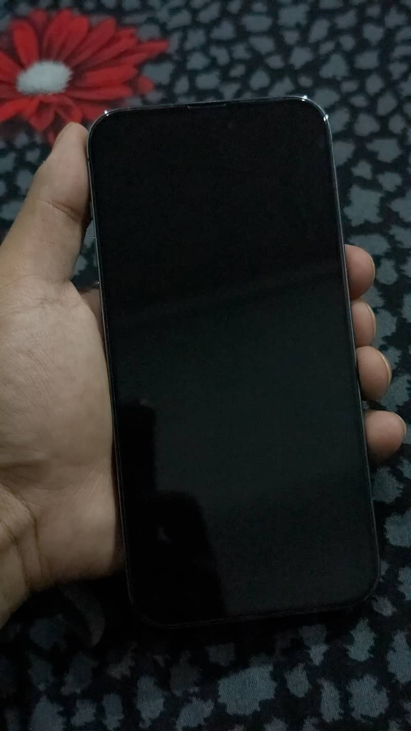 Apple iPhone 14 Pro Max 5