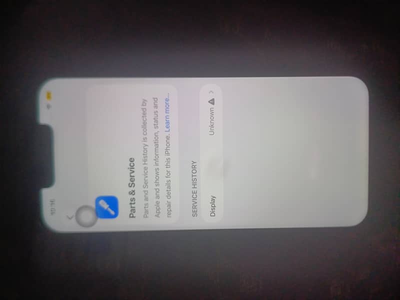 Apple iPhone 13 0