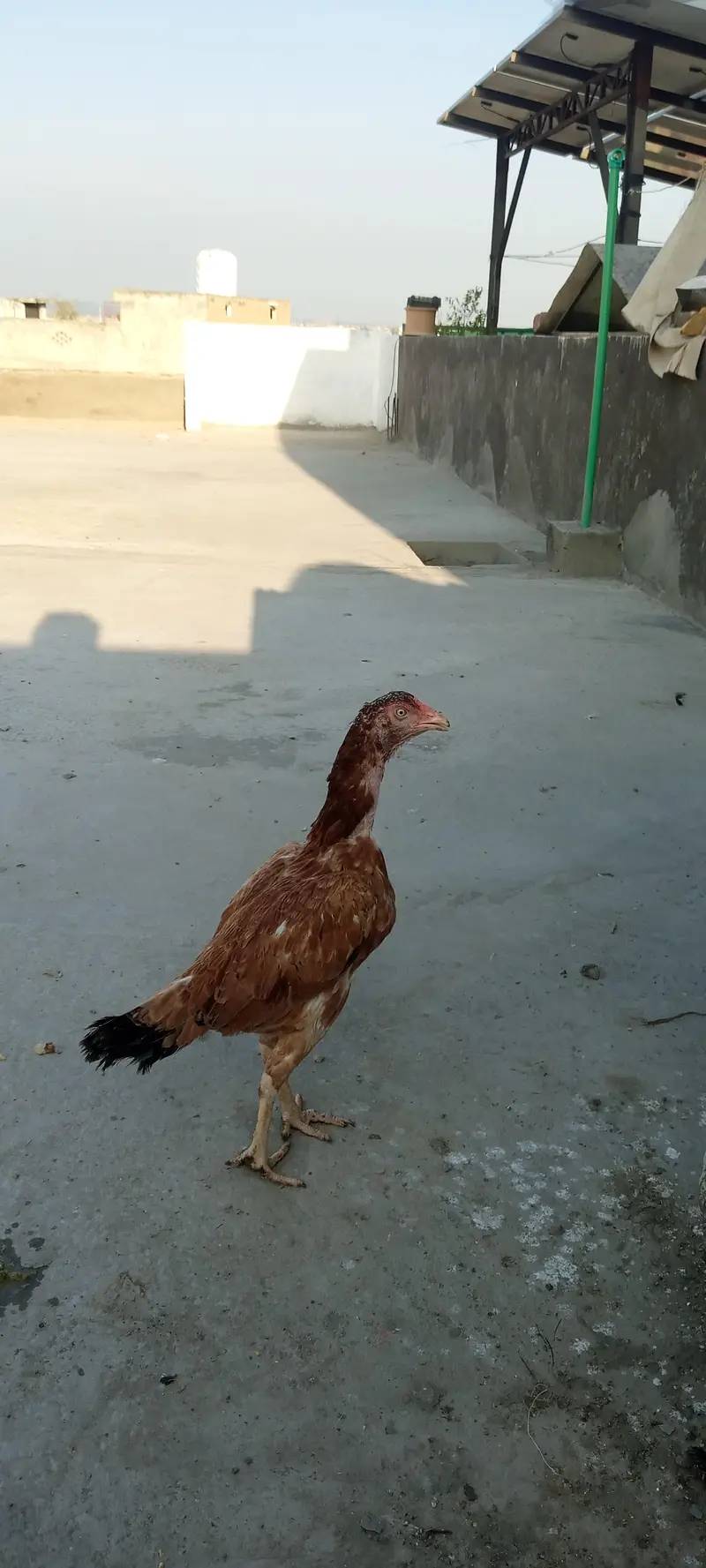 all for sale best price contact — photo 3